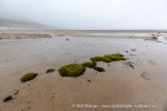 220811b_Phippsoya_24_N