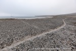 220811b_Phippsoya_29_N
