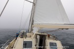 240807b_Isfjord_05_N