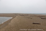 240807c_Sarstangen_11_N