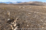 240809_Blomstrandhalvoya_26_N