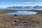 240809_Blomstrandhalvoya_48_N