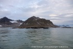240809_Hamburgbukta_05_N