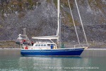 240809_Hamburgbukta_26_N