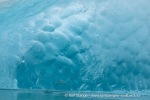 240810b_Alkekongen_86_N