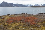 240810e_Krungledalen_066_N