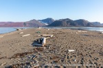 240811c_Store-Russebustraumen_001_N