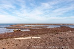 240812a_Tovikbukta_25_N