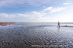 240812a_Tovikbukta_39_N