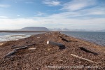 240812a_Tovikbukta_53_N