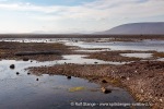 240812a_Tovikbukta_61_N