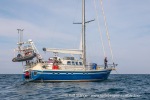 240812a_Tovikbukta_92_N