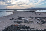 240812b_Mosselbukta_085_N