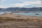 240812b_Mosselbukta_106_N