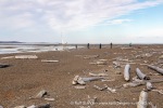 240813a_Tombolooya_038_N