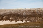 240813c_Nordre-Franklinbreen_034_N