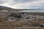 240814b_Franklindalen_039_N