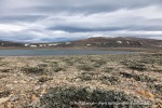 240814b_Franklindalen_090_N