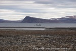 240814b_Franklindalen_173_N