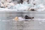 240818c_Freemanbreen_042_N