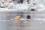240818c_Freemanbreen_044_N