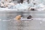 240818c_Freemanbreen_045_N