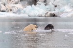 240818c_Freemanbreen_047_N