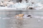 240818c_Freemanbreen_049_N