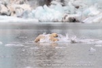 240818c_Freemanbreen_050_N