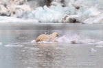 240818c_Freemanbreen_051_N