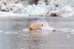 240818c_Freemanbreen_052_N