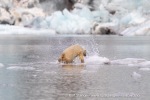 240818c_Freemanbreen_053_N