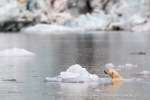 240818c_Freemanbreen_065_N