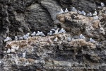 240818d_Buedelfjellet_21_N