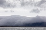 240819b_Tjuvfjord_14_N