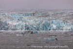 240819c_Deltabreen_06_N