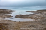 240819d_Tjuvfjordlagune_44_N