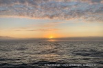 240820b_Sorkapp_01_N