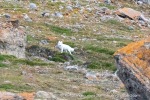 240827a_Bjonahamna_42_E