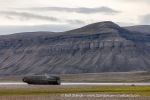 240827c_Skansbukta_09_E