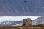 240829a_Midtholmen_51_N