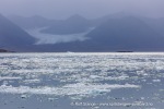 240829b_Kongsfjord_09_N