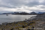 240830a_Virgohamna_21_N