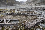 240830a_Virgohamna_53_N