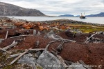 240830a_Virgohamna_58_N