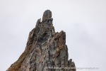 240831a_Hamiltonbukta_037_N