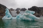 240831a_Hamiltonbukta_085_N