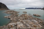 240831a_Hamiltonbukta_133_N