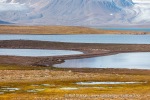 24091a_Andoyane_086_N