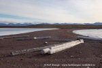 24091a_Andoyane_122_N